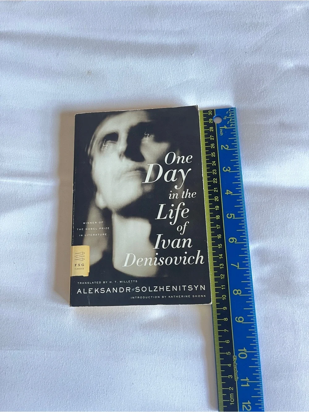 FSG Classics One Day in the Life of Ivan Denisovich Paperback Book Willetts